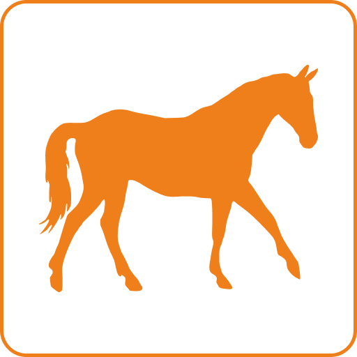 Конный двор