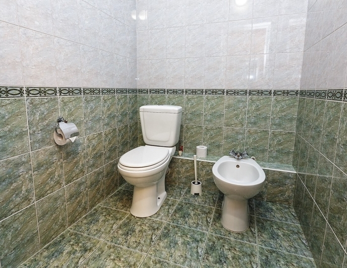 Стандарт Плюс - Санаторий Siberia Resort & Spa / Сибирь Резорт и Спа Тюмень