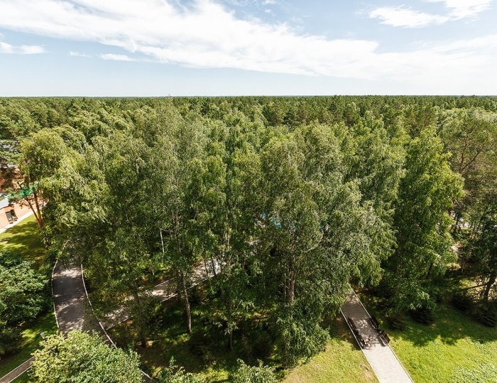 Стандарт Улучшенный LV - Санаторий Siberia Resort & Spa / Сибирь Резорт и Спа Тюмень